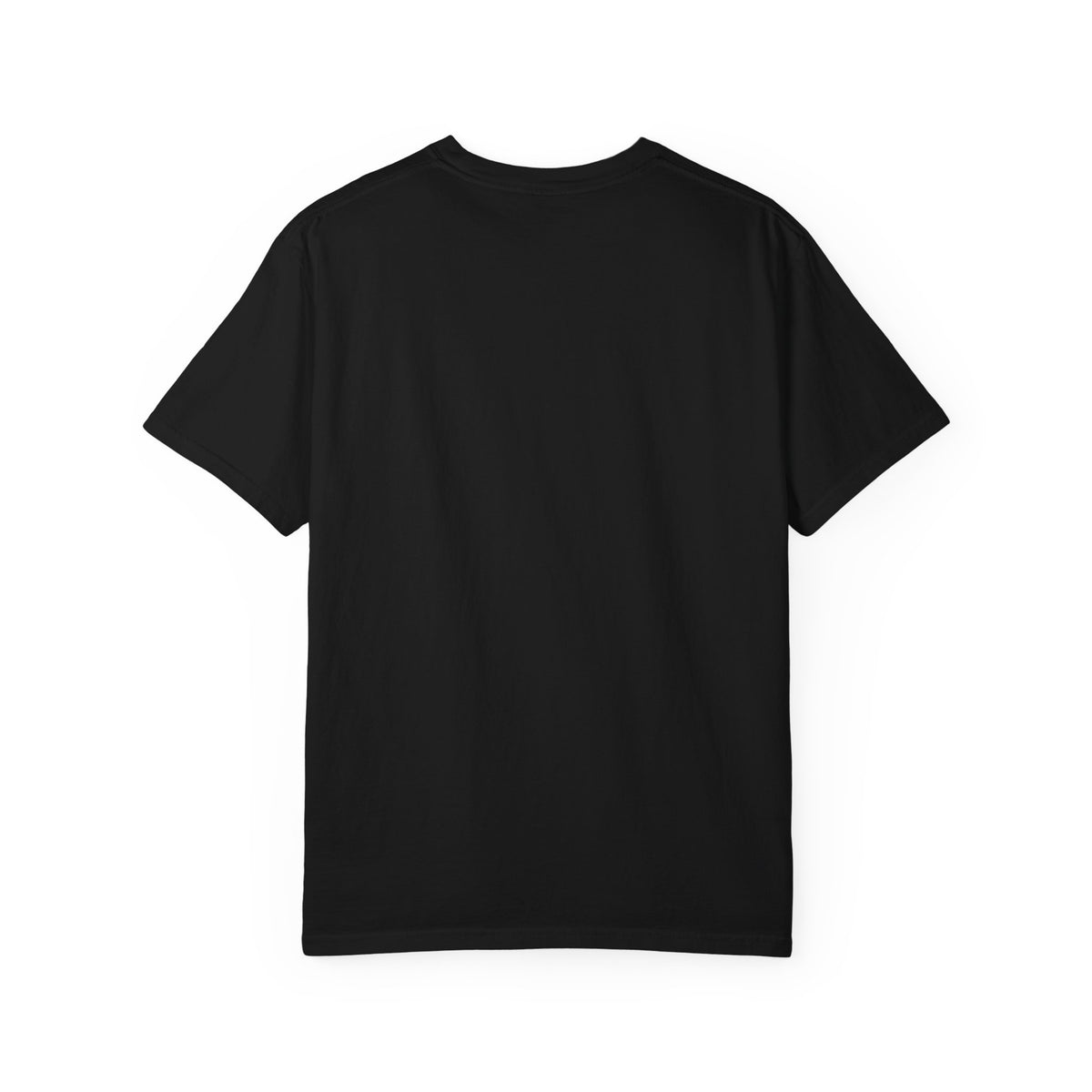 "You Can Live In A Car, You Can't Race A House" Streetwear Tee